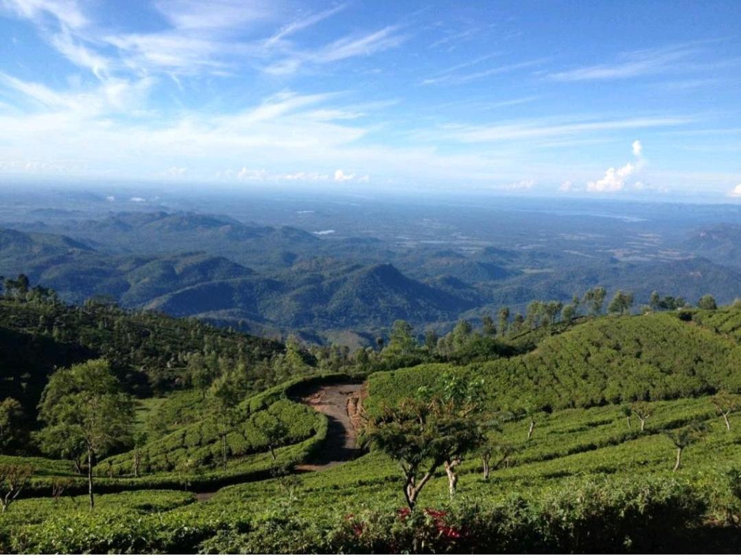 Leisure Mount View Hotel Haputale Bagian luar foto