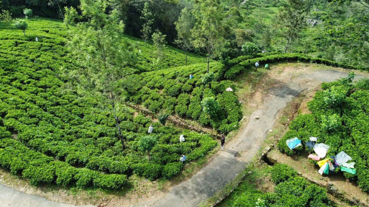 Leisure Mount View Hotel Haputale Bagian luar foto