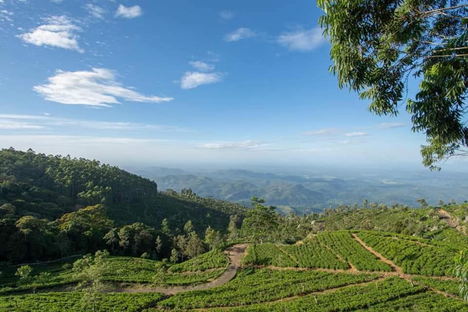 Leisure Mount View Hotel Haputale Bagian luar foto