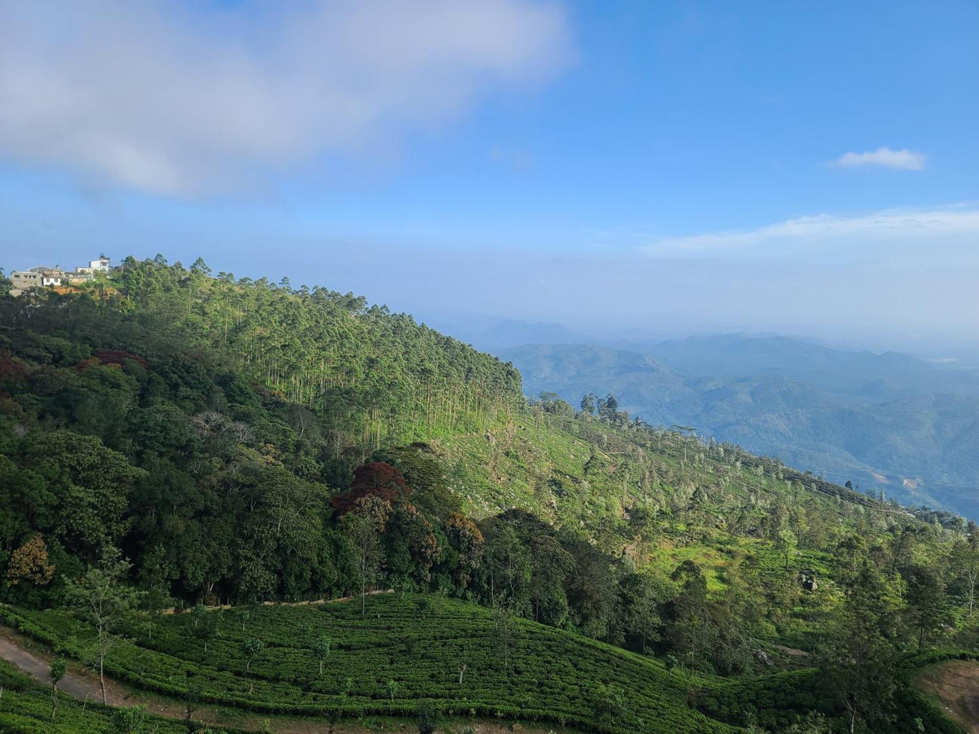 Leisure Mount View Hotel Haputale Ruang foto