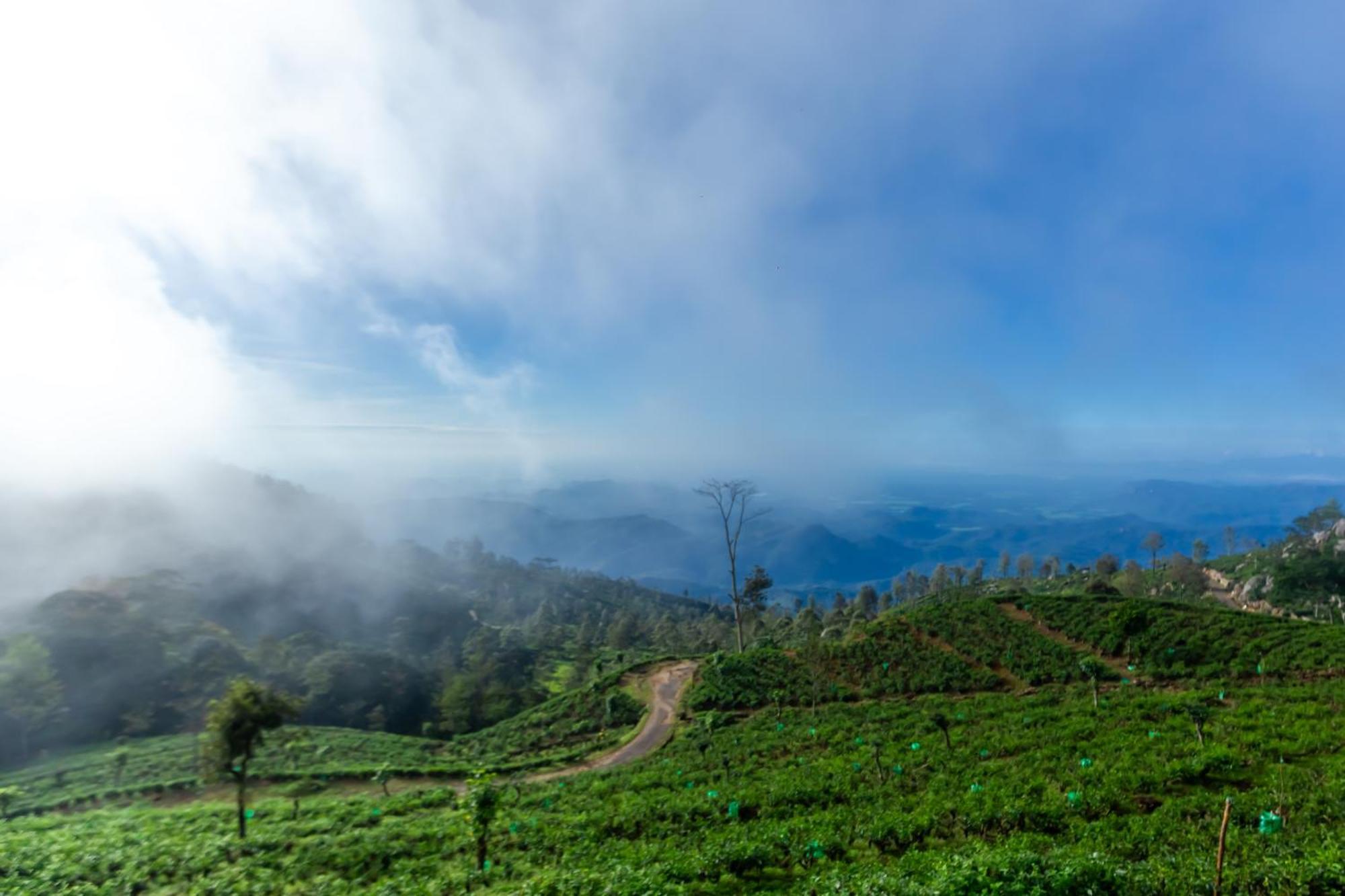 Leisure Mount View Hotel Haputale Bagian luar foto